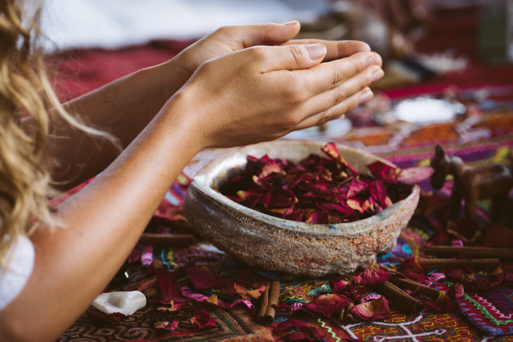 The programs featured image