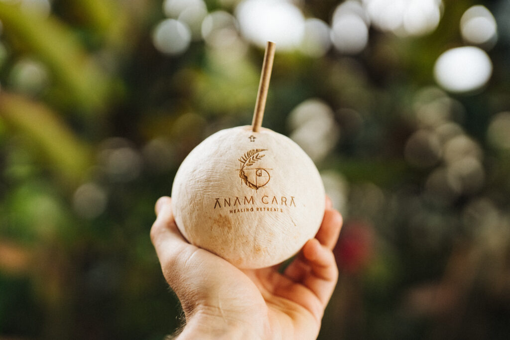 The programs featured image