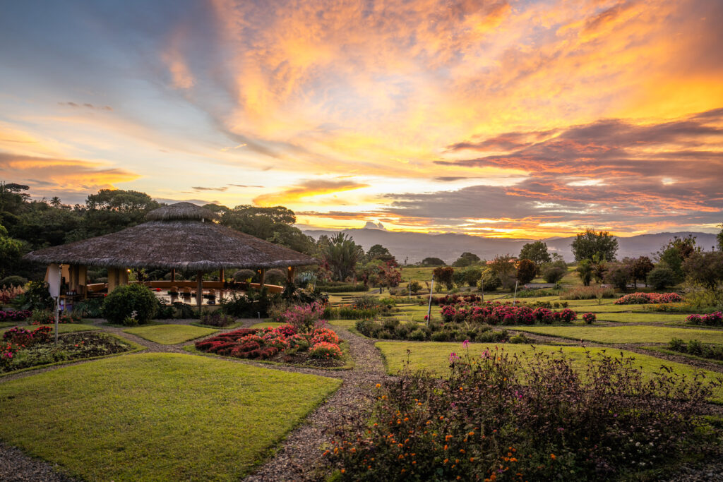 The programs featured image